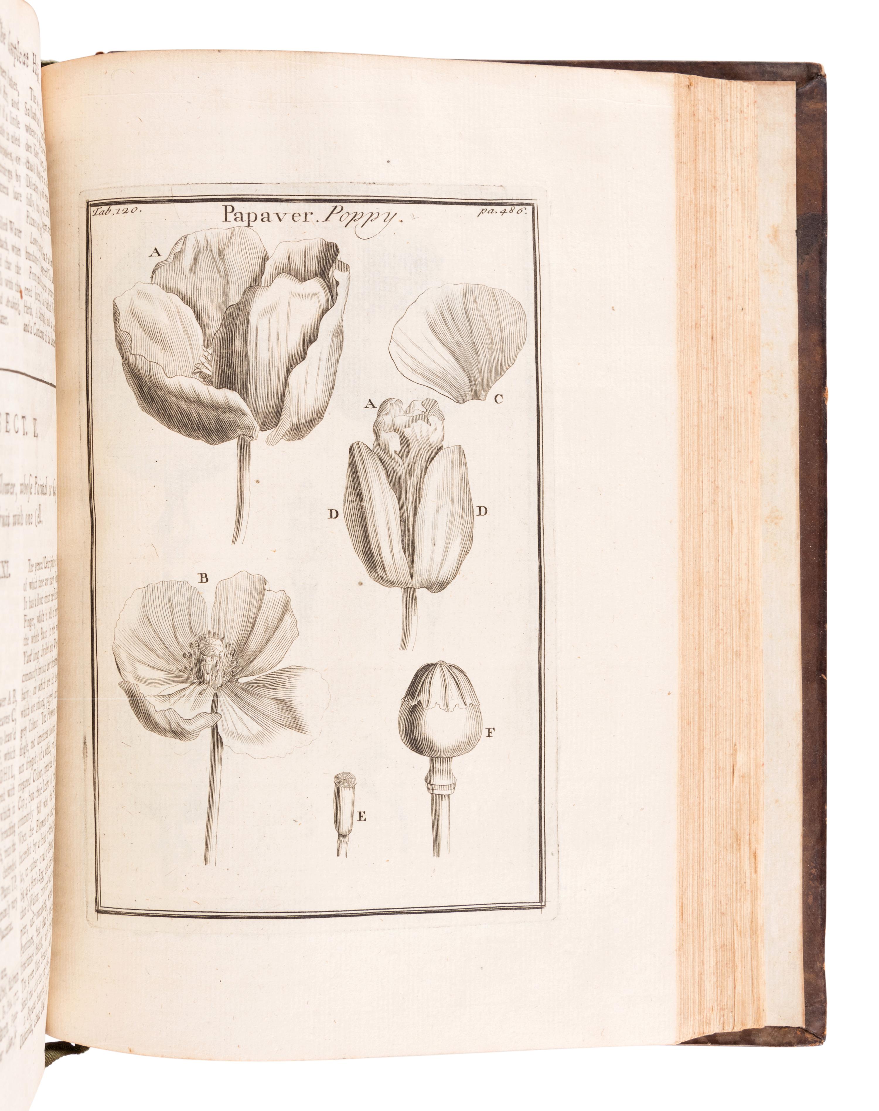 TOURNEFORT, Joseph Pitton de (1656-1708). Institutiones rei herbariae . Paris: Typographia Regia, 1700.