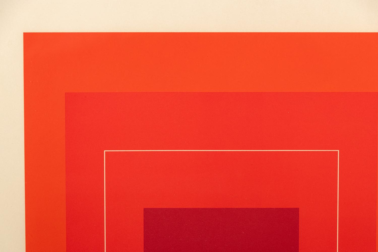 White Line Square XV
