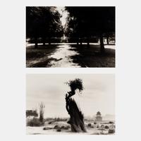 Shah Jahan's Tomb, Tree at Center, Agra , 1985, and Untitled (Garden) (Two Works)