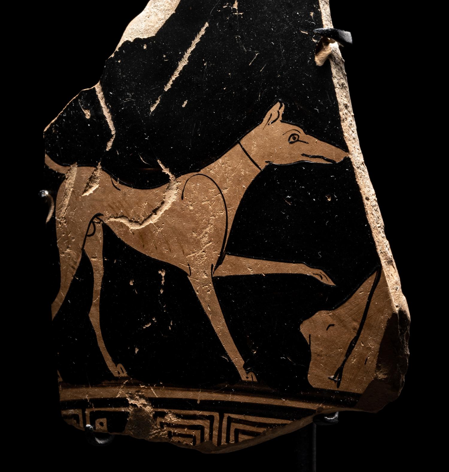 An Attic Red-Figured Skyphos Fragment with a Dog