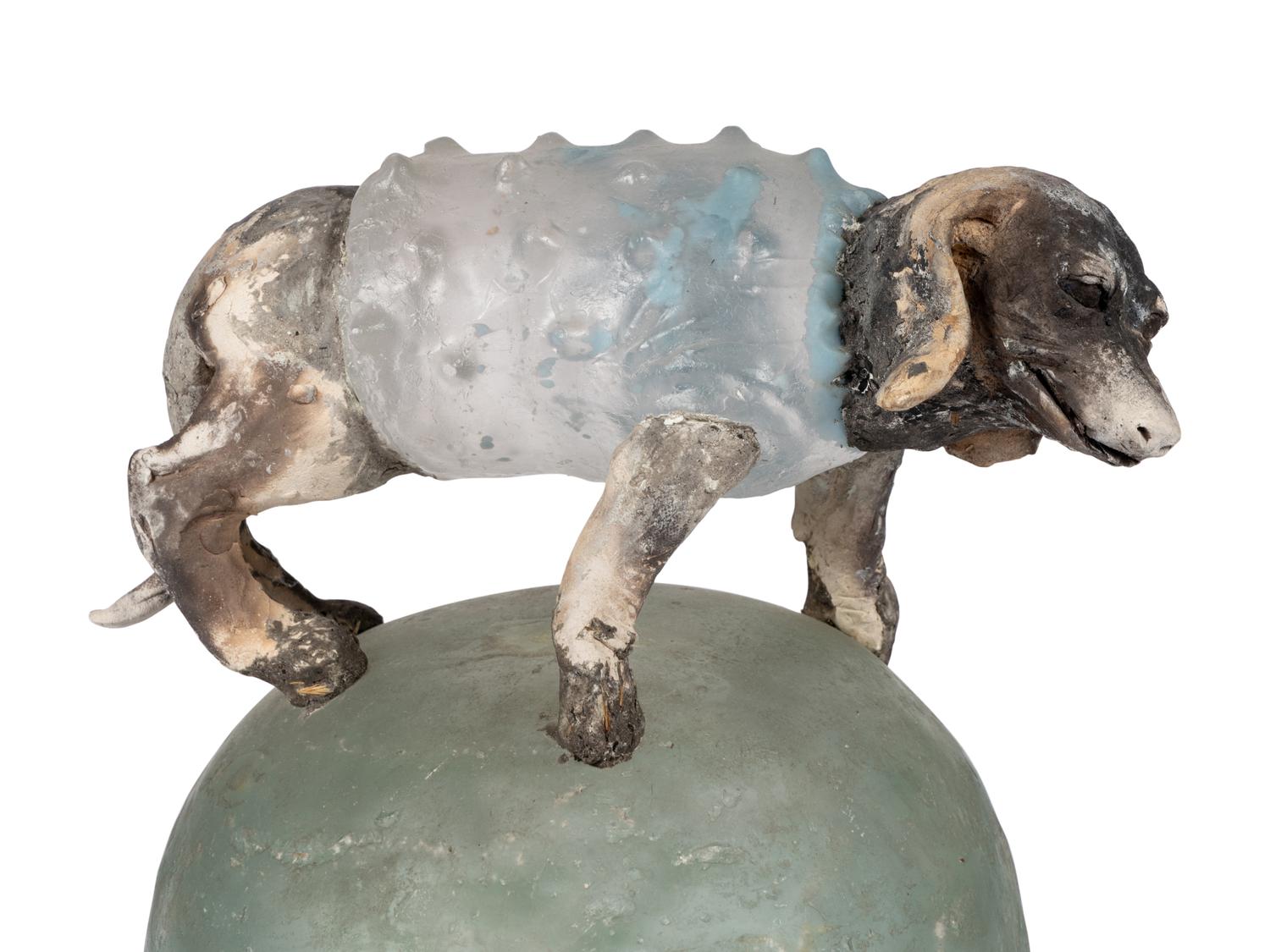 Dog On Ball