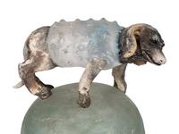 Dog On Ball