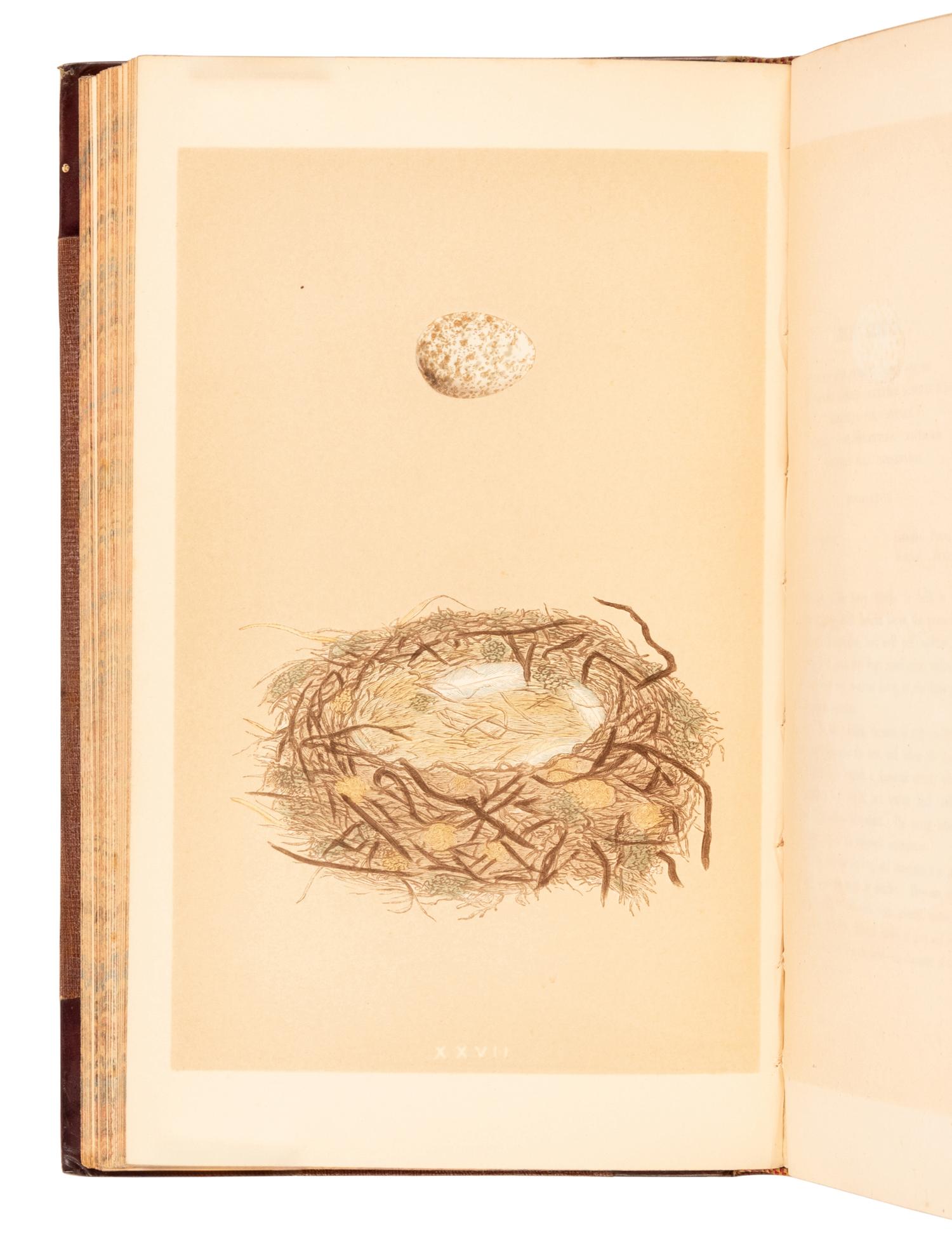 [NATURAL HISTORY]. MORRIS, Francis Orpen (1810-1893). A History of British Birds . [And:] A Natural History of the Nests and Eggs of British Birds . London: Groombridge and Sons, 1851-1857, 1853.