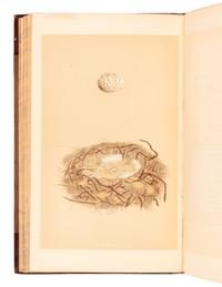 [NATURAL HISTORY]. MORRIS, Francis Orpen (1810-1893). A History of British Birds . [And:] A Natural History of the Nests and Eggs of British Birds . London: Groombridge and Sons, 1851-1857, 1853.