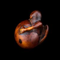 A Japanese Wood Netsuke of Hatching Tengu