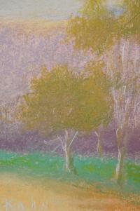 Five Trees
