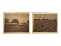 [EDUCATION]. HYMAN, photographer. A group of 6 photographs of Tuskegee Institute buildings and grounds, incl. the Wayside Inn and Dairy Barn. Ca early 1900s.