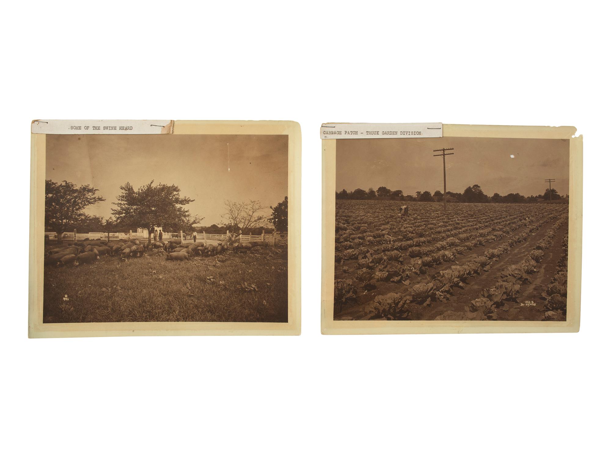 [EDUCATION]. HYMAN, photographer. A group of 6 photographs of Tuskegee Institute buildings and grounds, incl. the Wayside Inn and Dairy Barn. Ca early 1900s.
