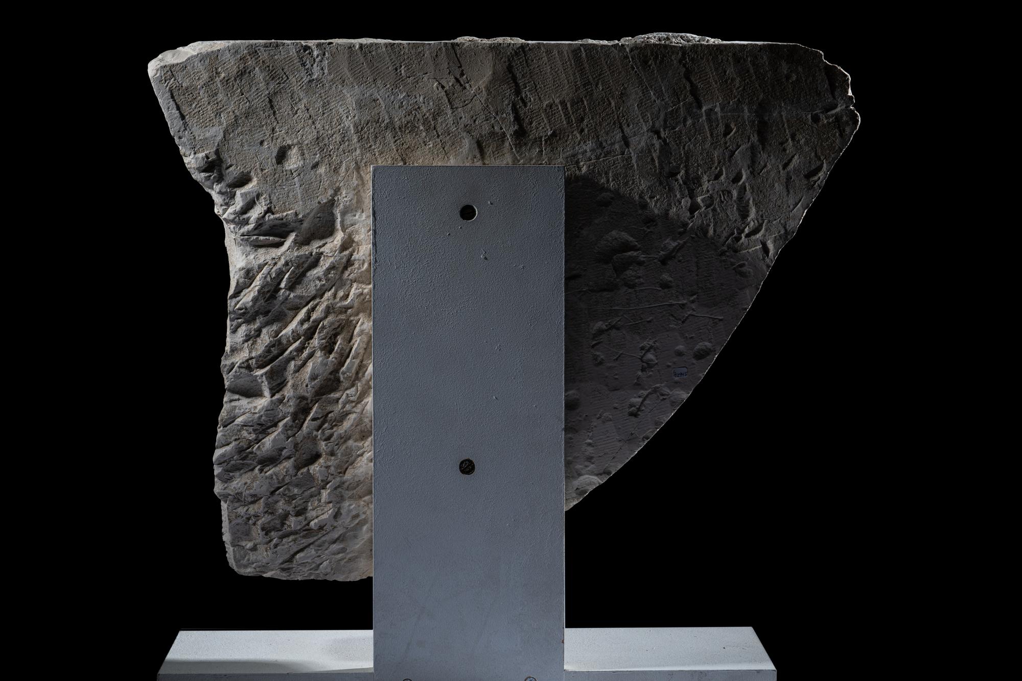 A Greco-Roman Limestone Fragment with Entablature and Bucranium