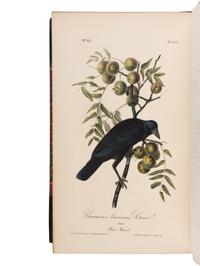 AUDUBON, John James (1785-1851). The Birds of America, from Drawings Made in the United States and their Territories. New York and Philadelphia: J.J. Audubon and J.B. Chevalier, [1839-] 1840-1844.