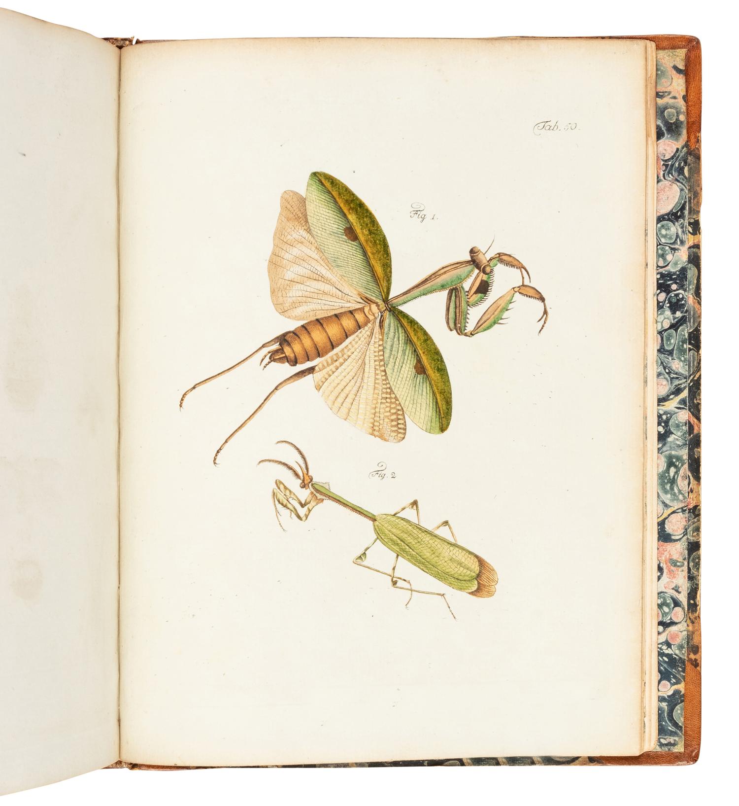 FUESSLI, Johann Caspar (1742-86). Archives de l'histoire des insectes . Winterthur: J. Ziegler, 1794.
