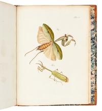 FUESSLI, Johann Caspar (1742-86). Archives de l'histoire des insectes . Winterthur: J. Ziegler, 1794.