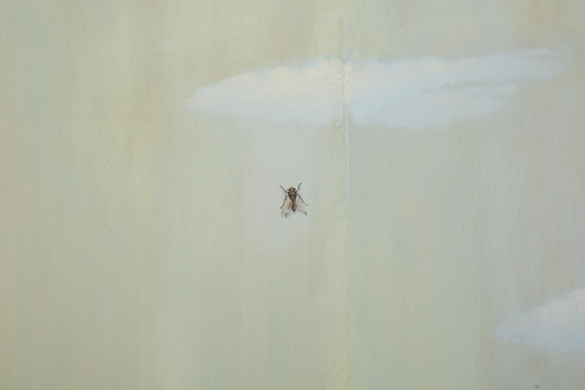 Sky with Fly