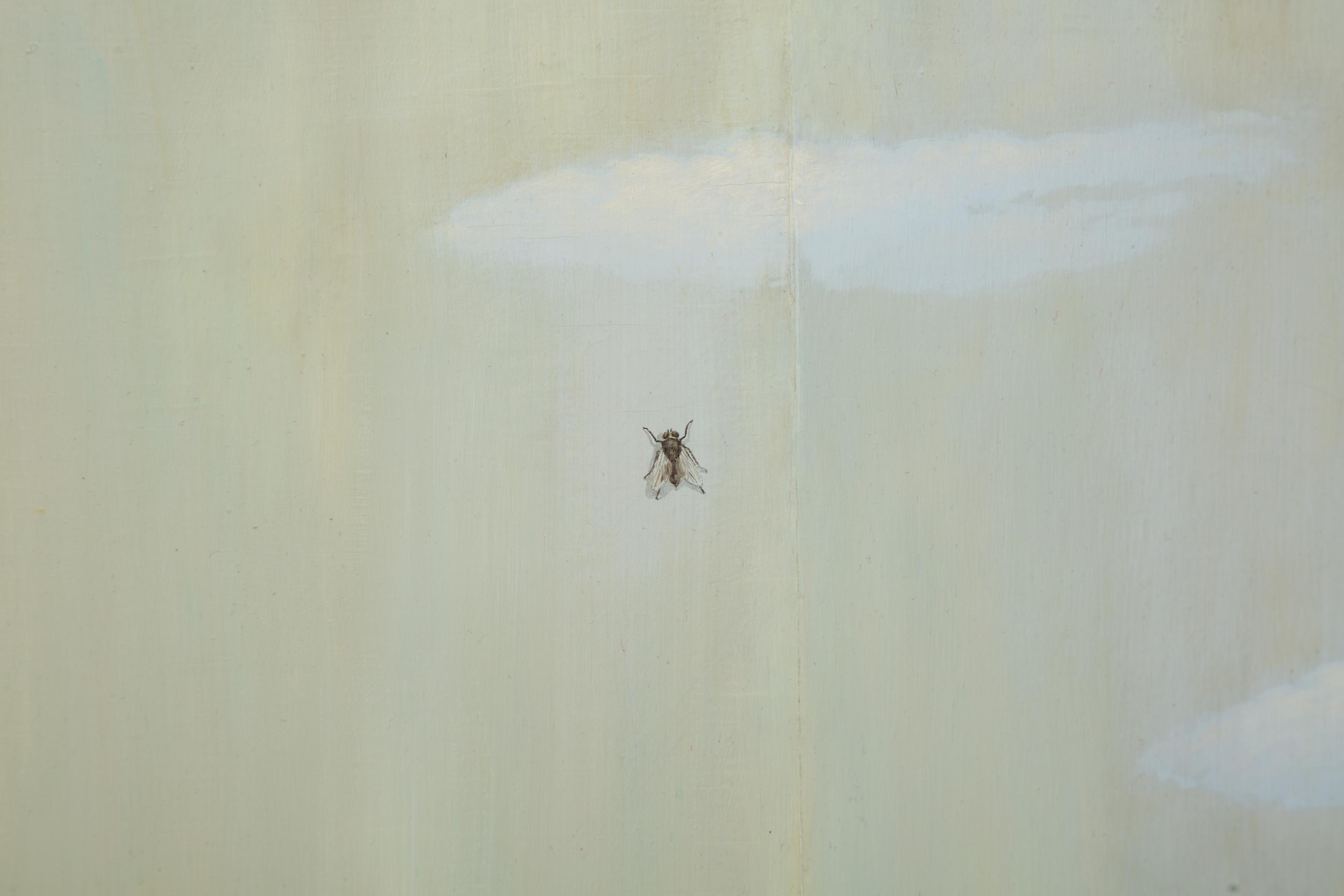 Sky with Fly