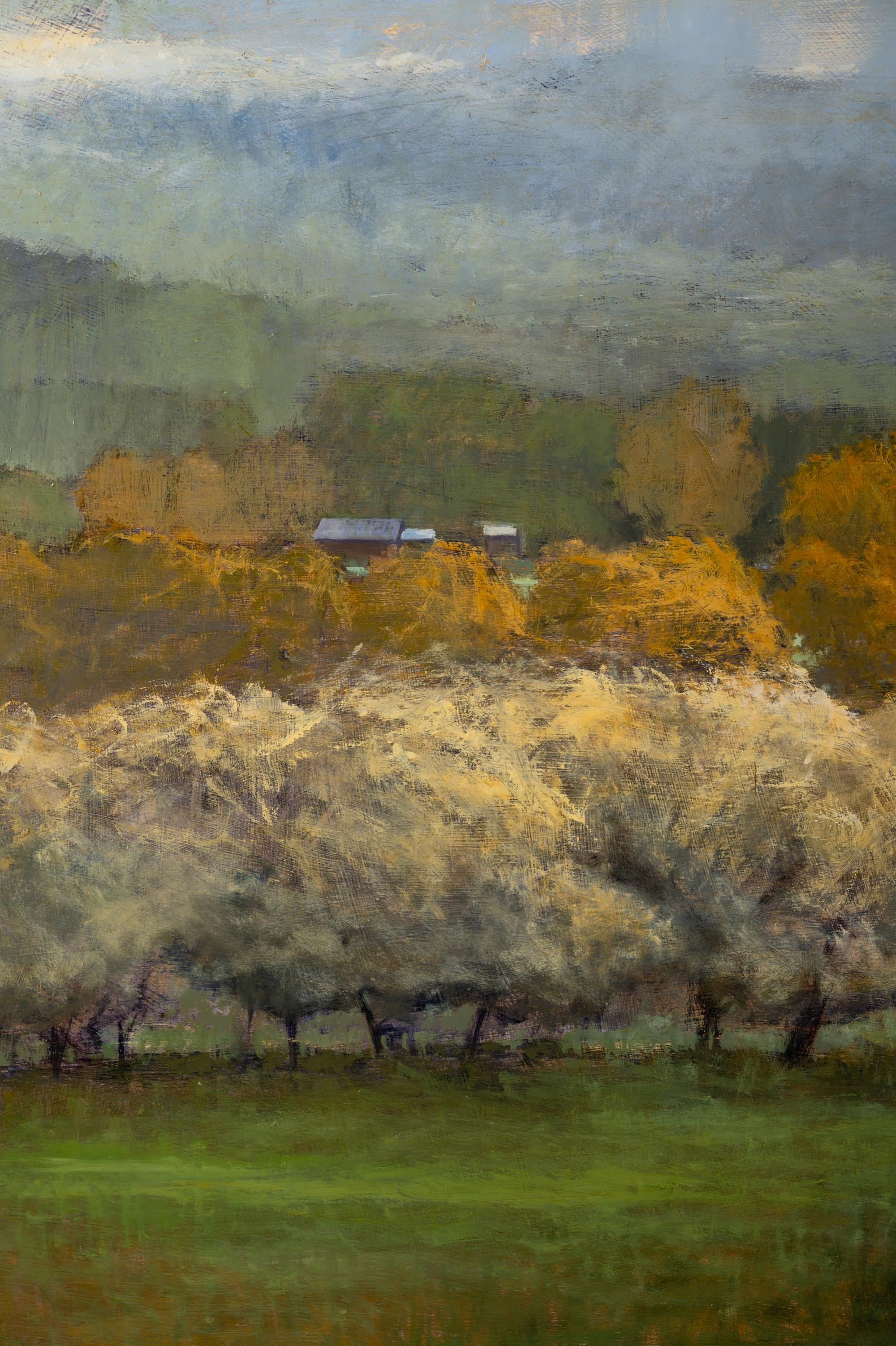 Pastoral View