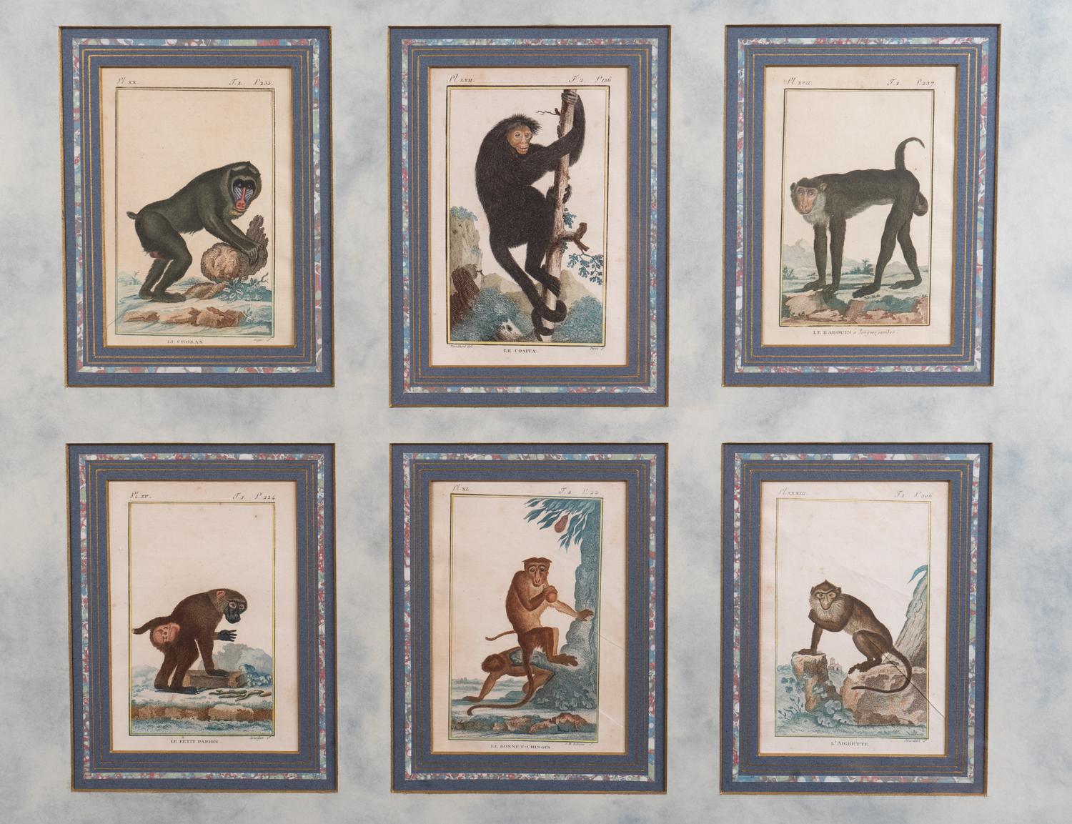 A Set of Twelve Hand-Colored Monkey Engravings — LATE 18TH/EARLY 19TH CENTURY