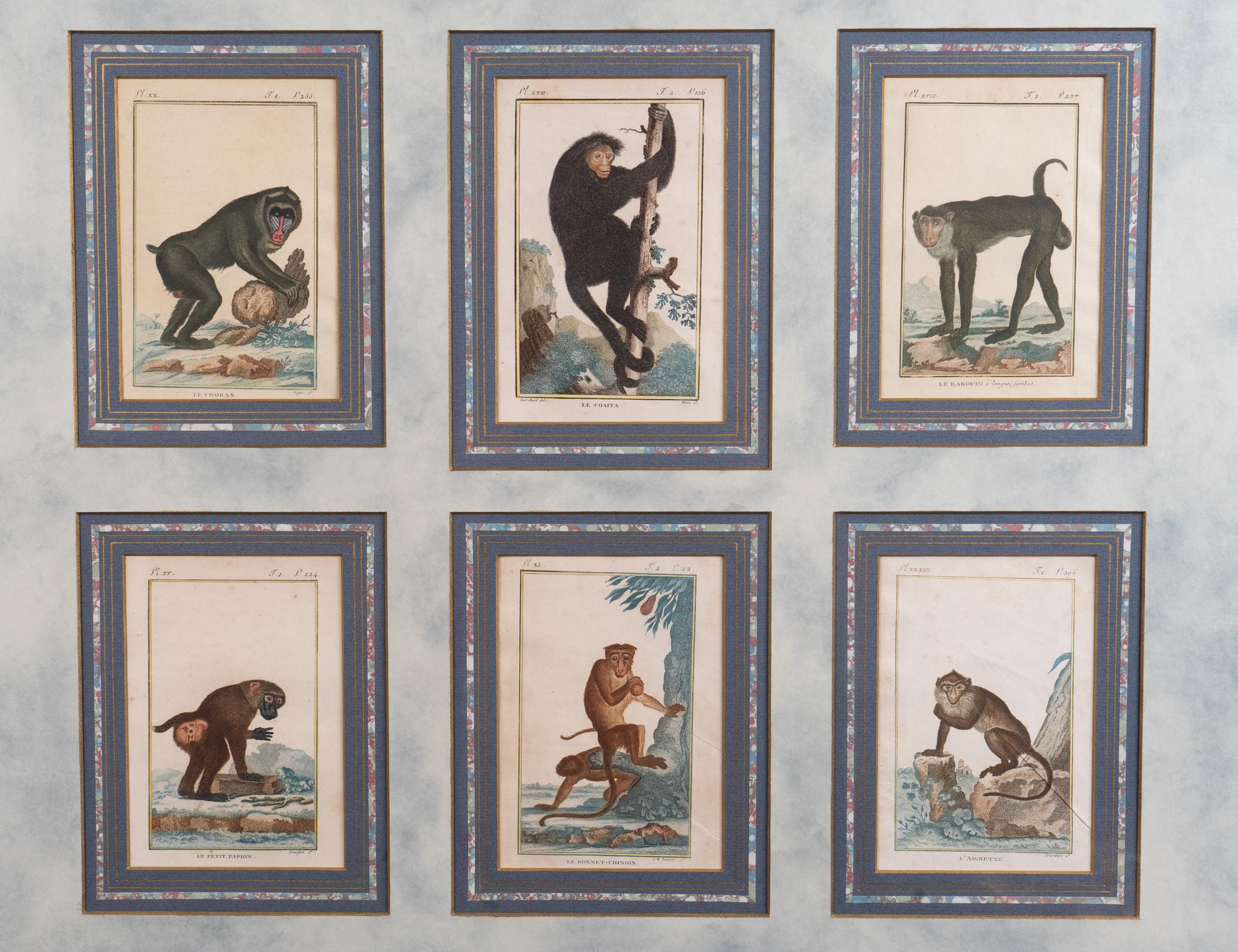 A Set of Twelve Hand-Colored Monkey Engravings — LATE 18TH/EARLY 19TH CENTURY
