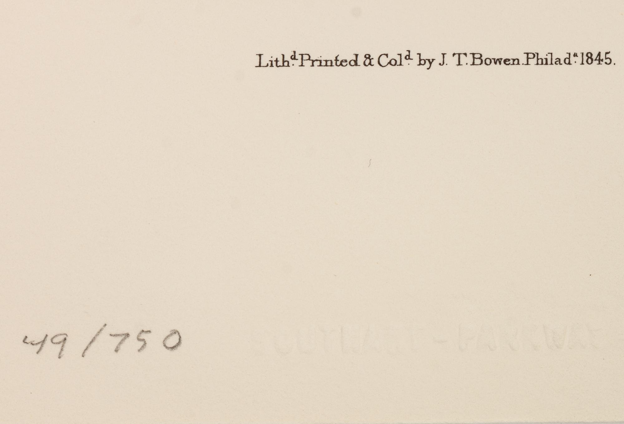 Southart Parkway's Limited Edition Facsimiles from Viviparous Quadrupeds of North America; Set Two: Audubon Mammals of the Southeast