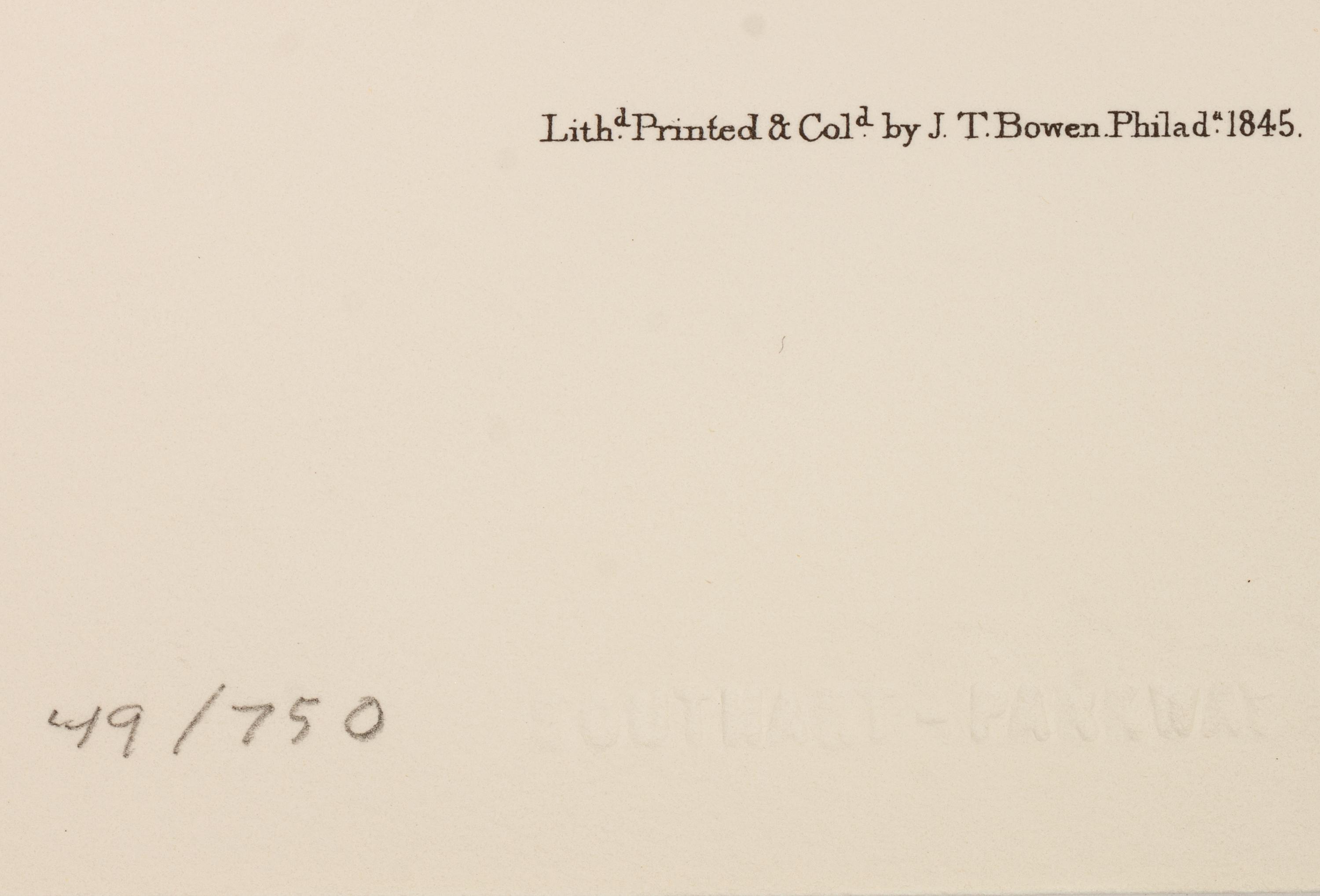 Southart Parkway's Limited Edition Facsimiles from Viviparous Quadrupeds of North America; Set Two: Audubon Mammals of the Southeast