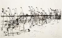 Mountain Grove, 1975 and Sunflowers After, 1972