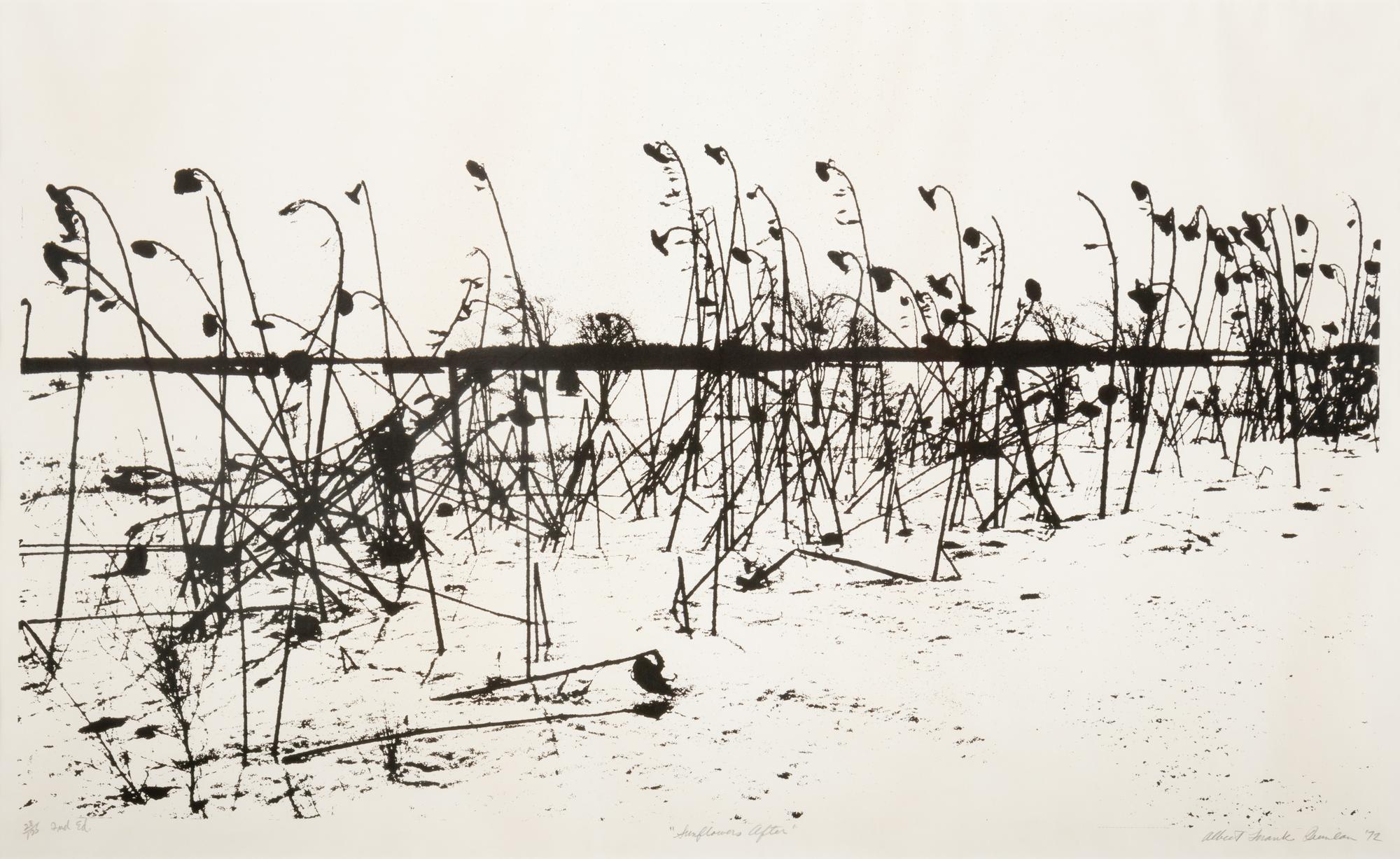 Mountain Grove, 1975 and Sunflowers After, 1972