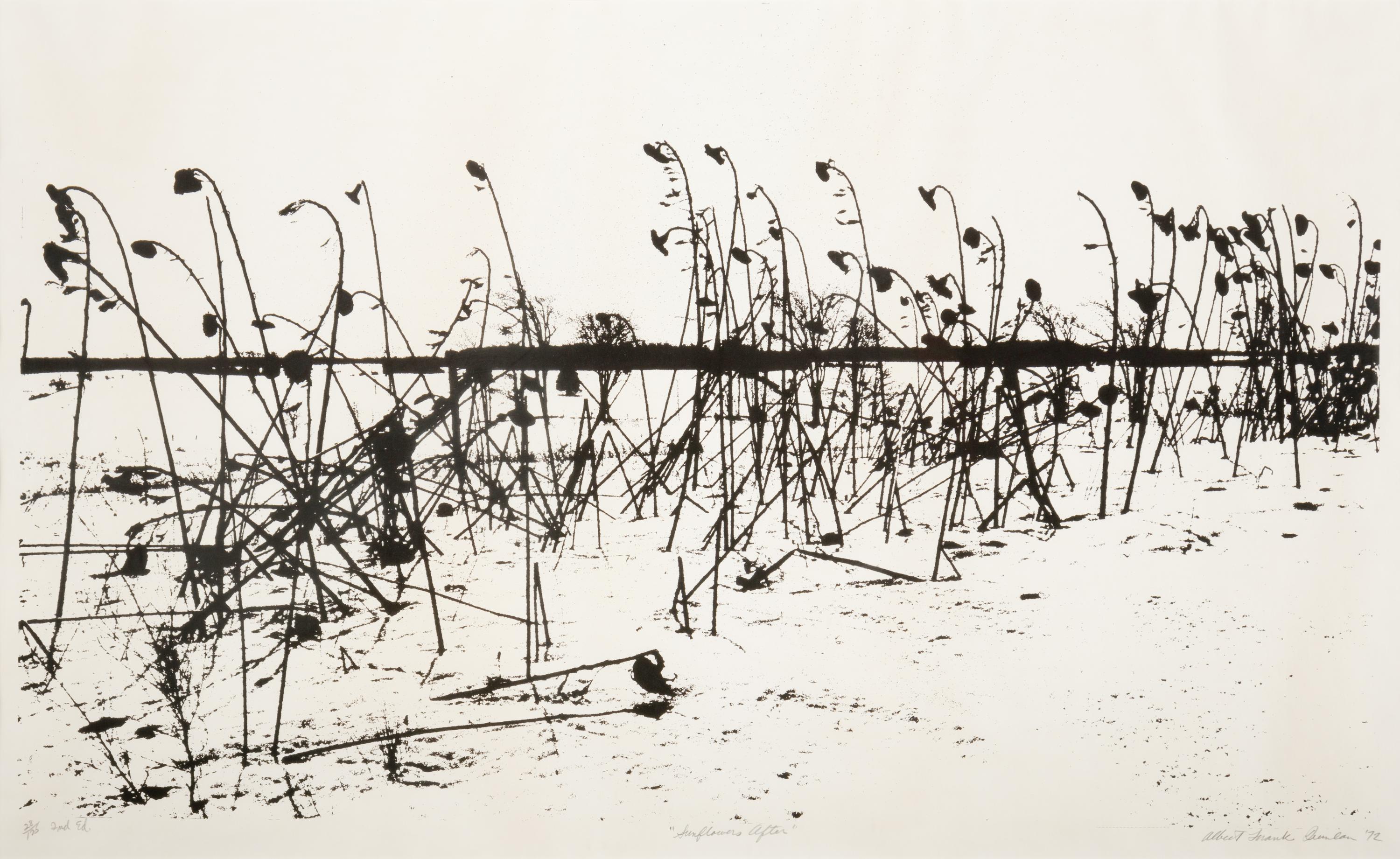 Mountain Grove, 1975 and Sunflowers After, 1972