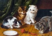 Chats