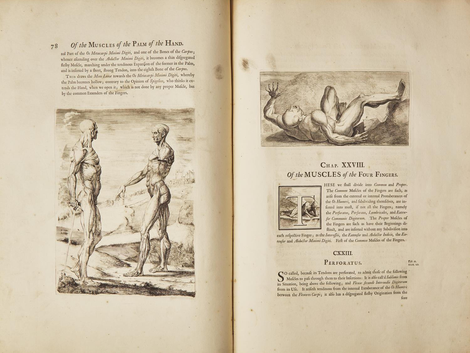 [Science, Medicine & Mathematics] Cowper, William. Myotomia Reformata: Or an Anatomical Treatise on the Muscles of the Human Body