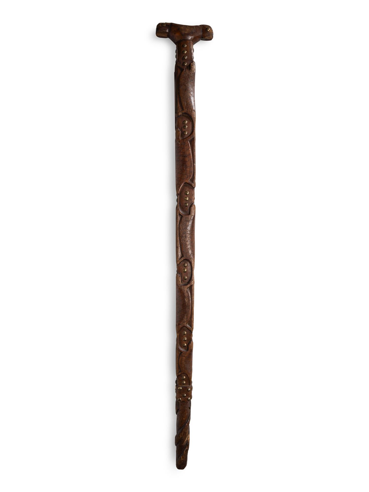 Northeastern Turtle Cane