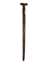 Northeastern Turtle Cane