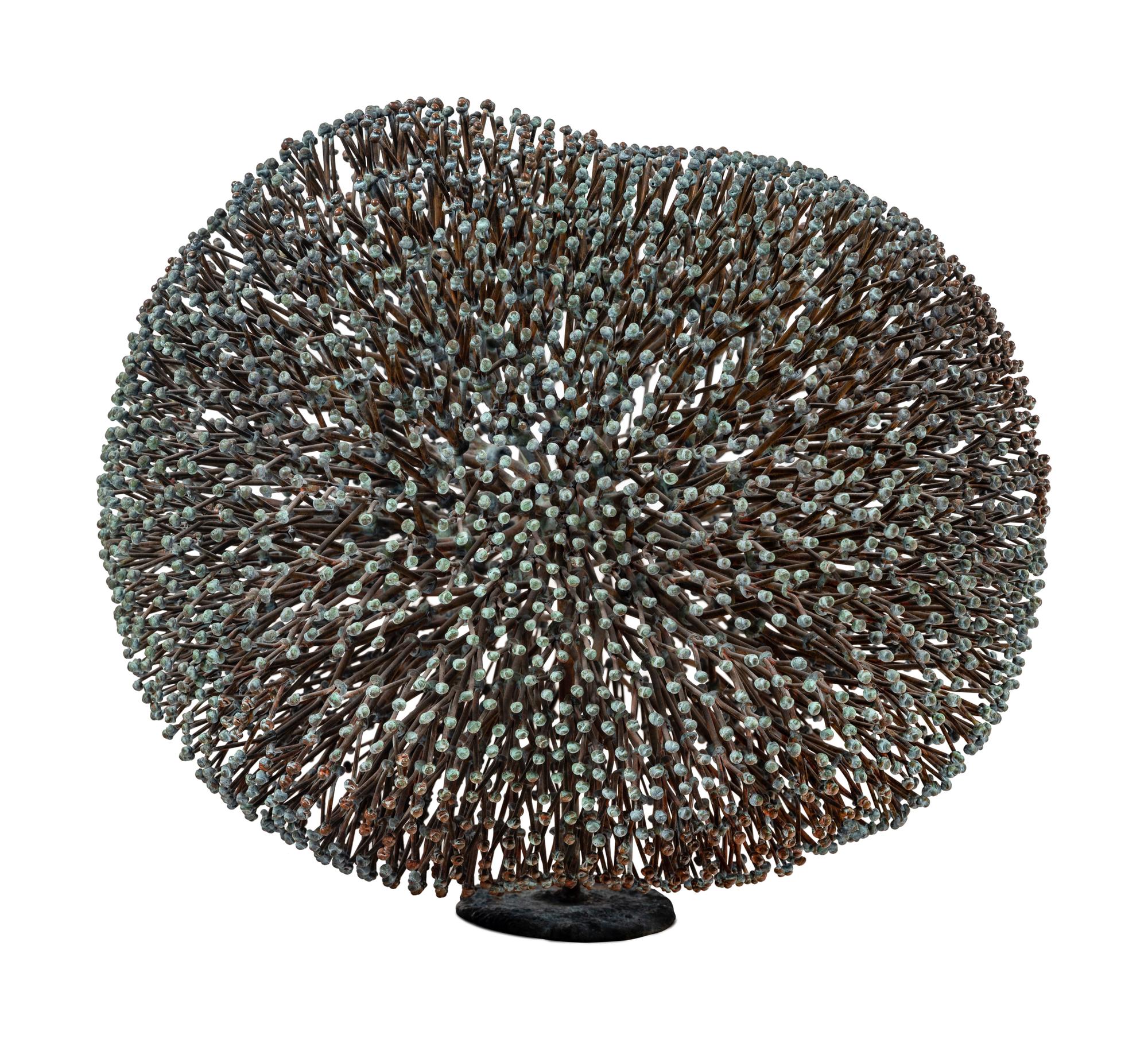 Untitled (Bush)
