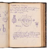 [BOTANY & GARDENING -- MANUSCRIPTS]. A group of 5 manuscripts, comprising: