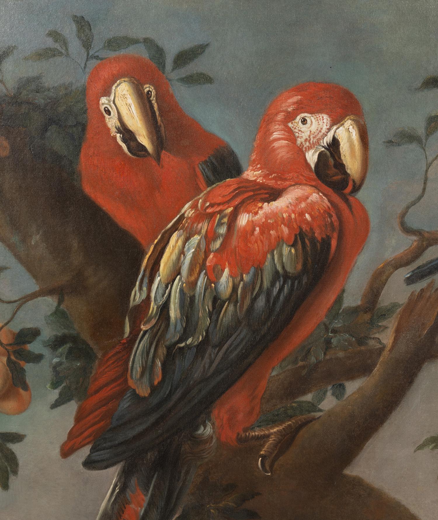 Parrots and Other Birds Perched on a Tree , 1709
