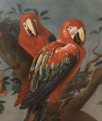 Parrots and Other Birds Perched on a Tree , 1709