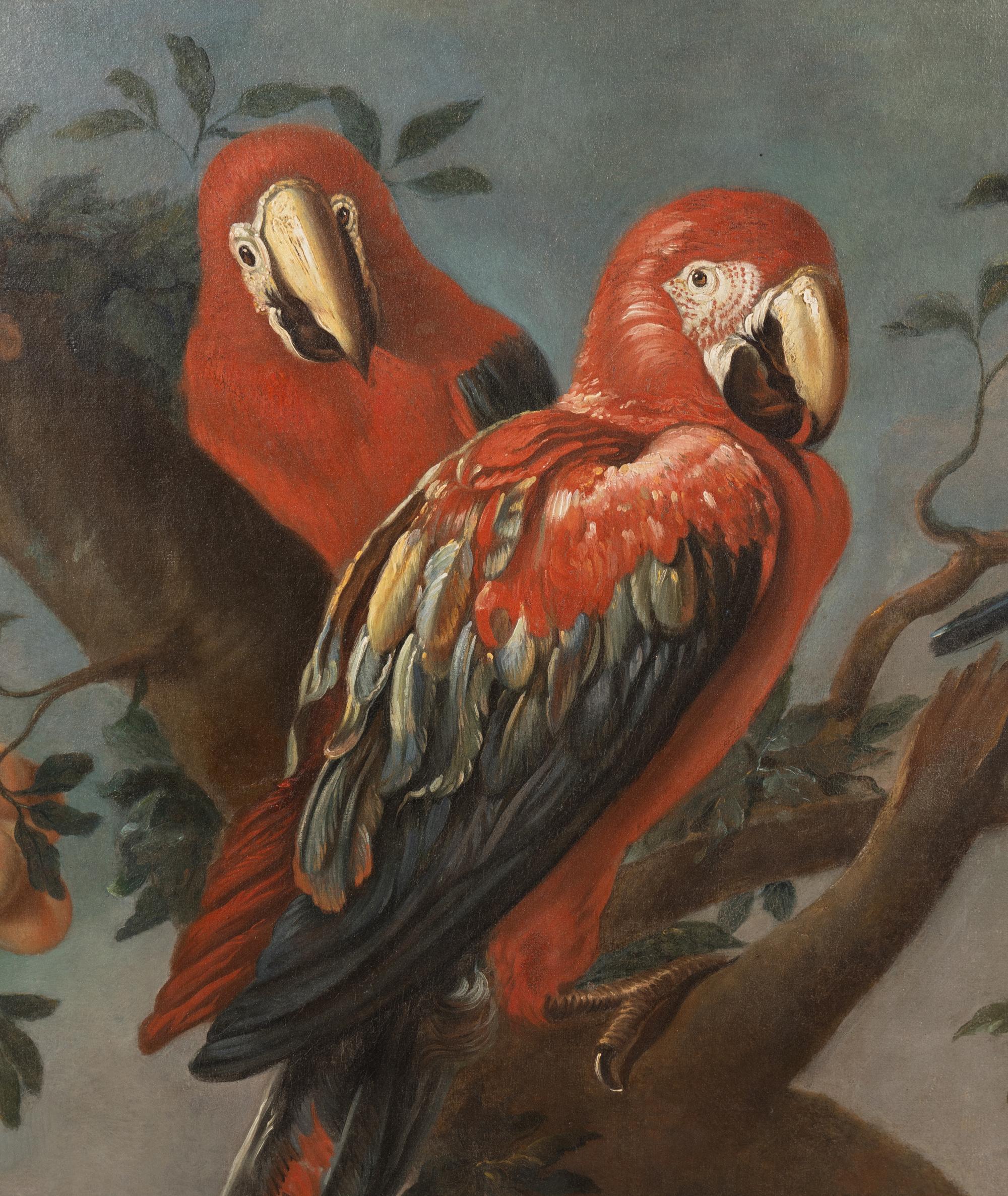 Parrots and Other Birds Perched on a Tree , 1709