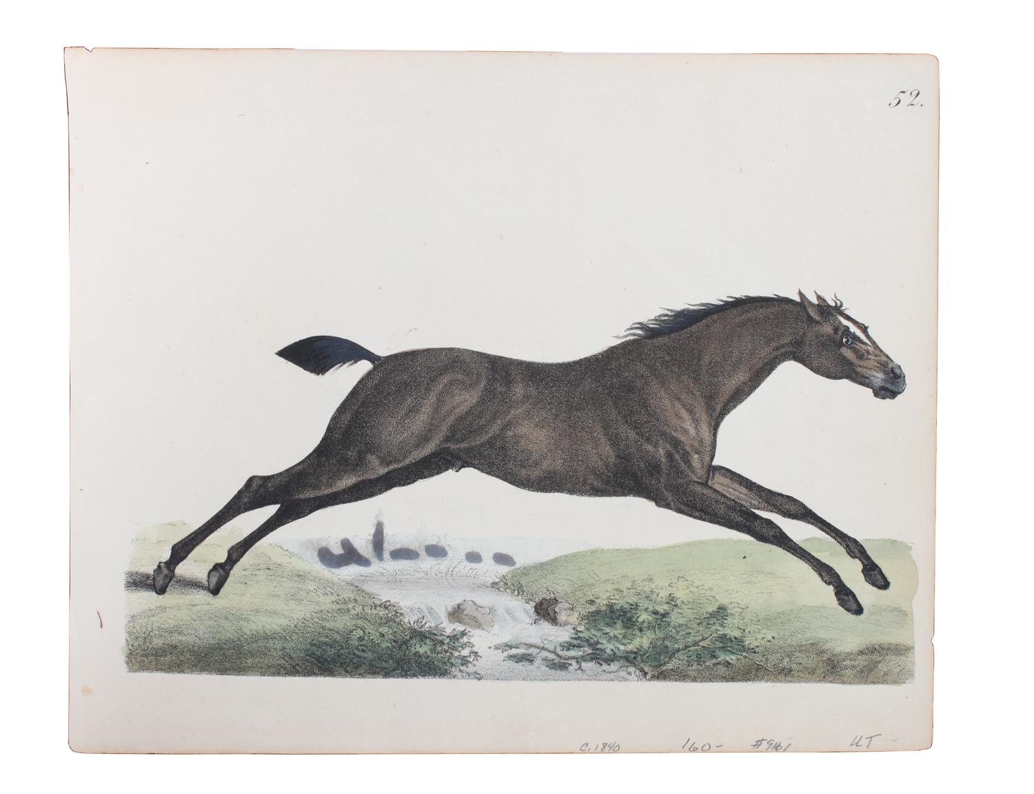 Six Hand Colored Race Horse Prints Height 7 x width 10 inches (largest) — 19TH CENTURY