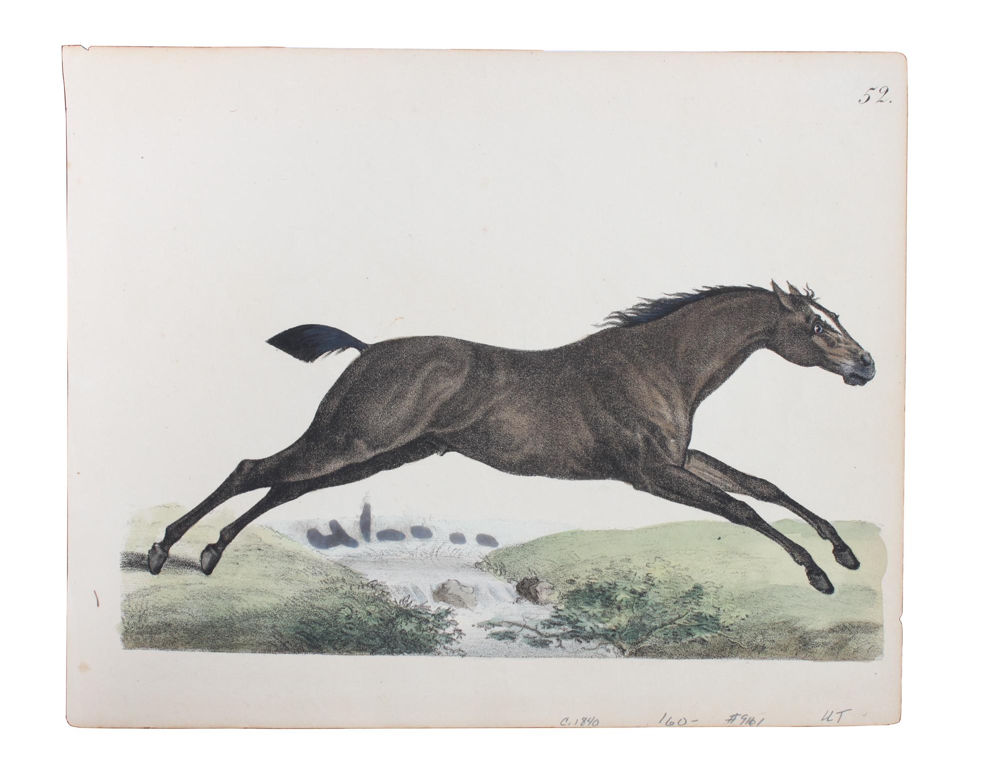 Six Hand Colored Race Horse Prints Height 7 x width 10 inches (largest) — 19TH CENTURY