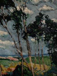 Windblown Trees