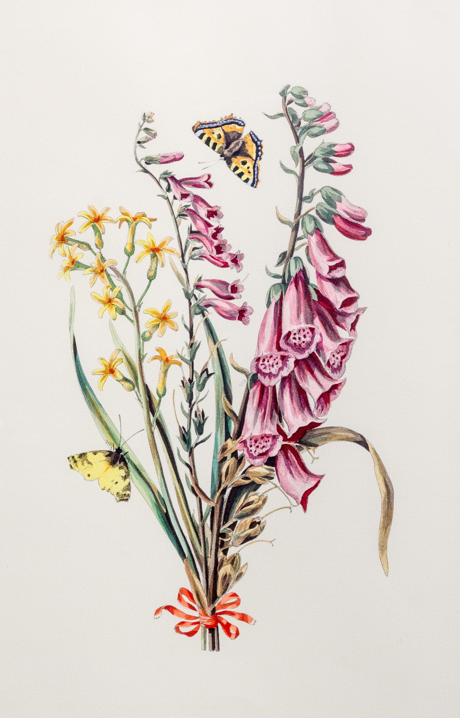 A Pair of Color Lithographs 17 x 11 inches (each).