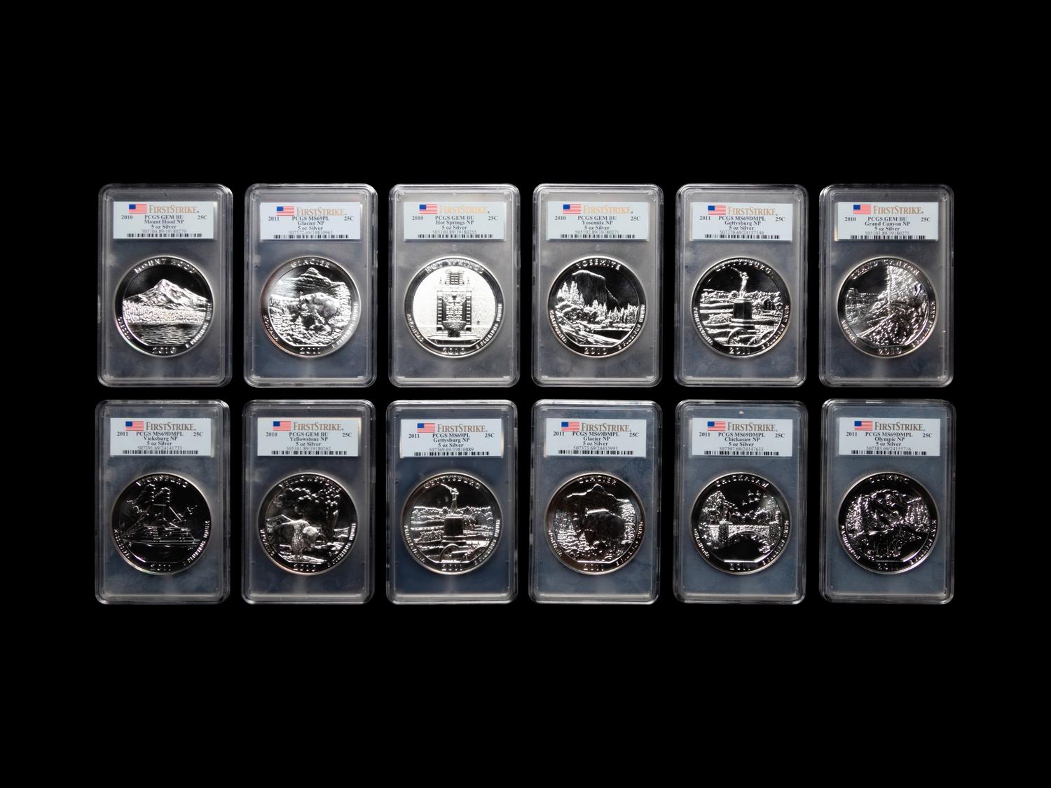 A Group of Twelve U.S Mint Issued America the Beautiful Series 5 oz. Silver Rounds (PCGS Graded)