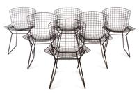 Set of Eight Chairs Knoll Associates