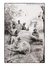 Peter Beard (1938-2020) Lariak Estate cattle-killer that went berserk and harmed 4 cows and a herd-boy, 1965
