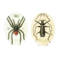 Two John Derian Decoupage Plates