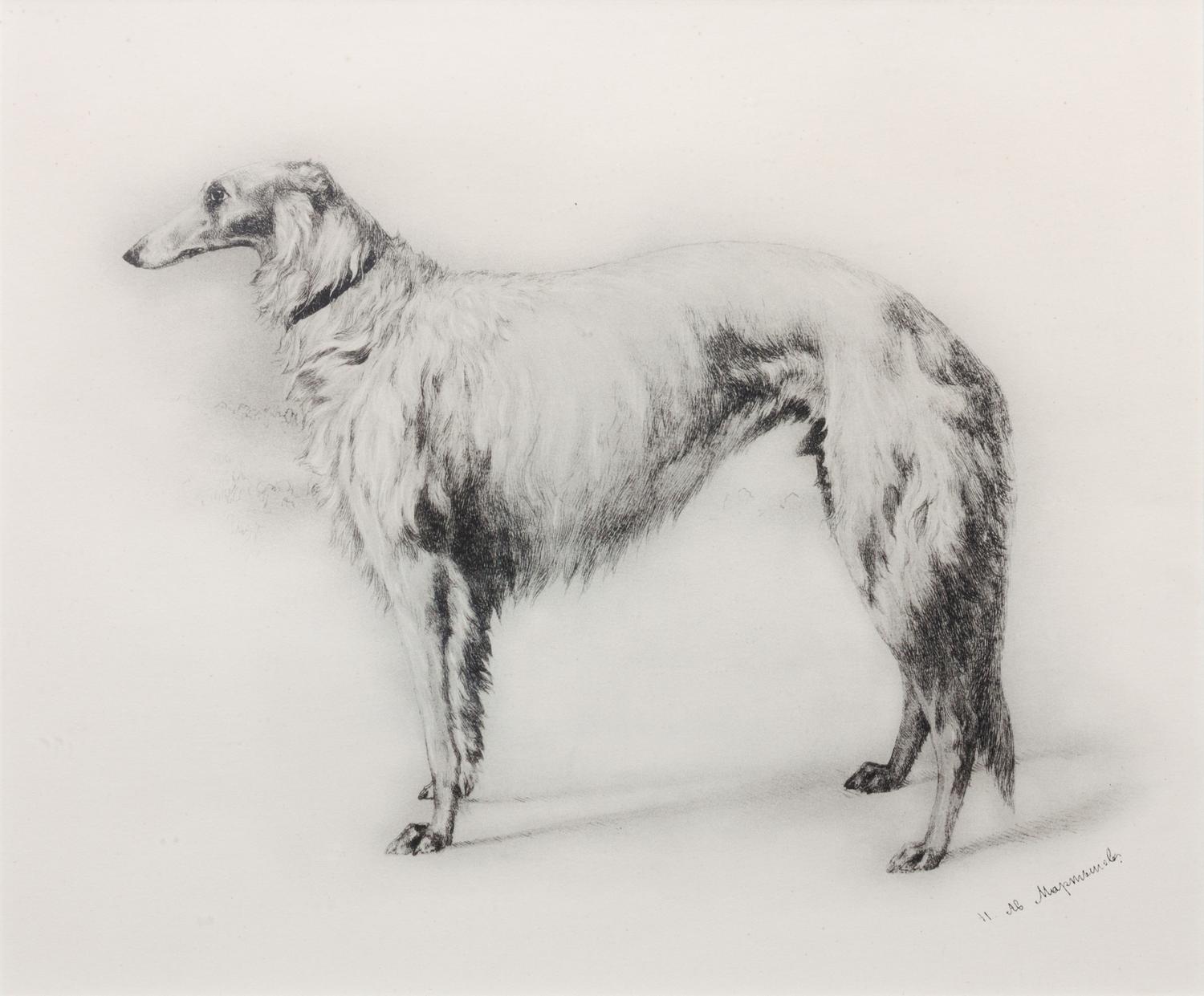 After N.A. Martynow, (Russian, circa 1874-79), Four lithographs after the original etchings,Portraits of Borzois, published circa 1938.