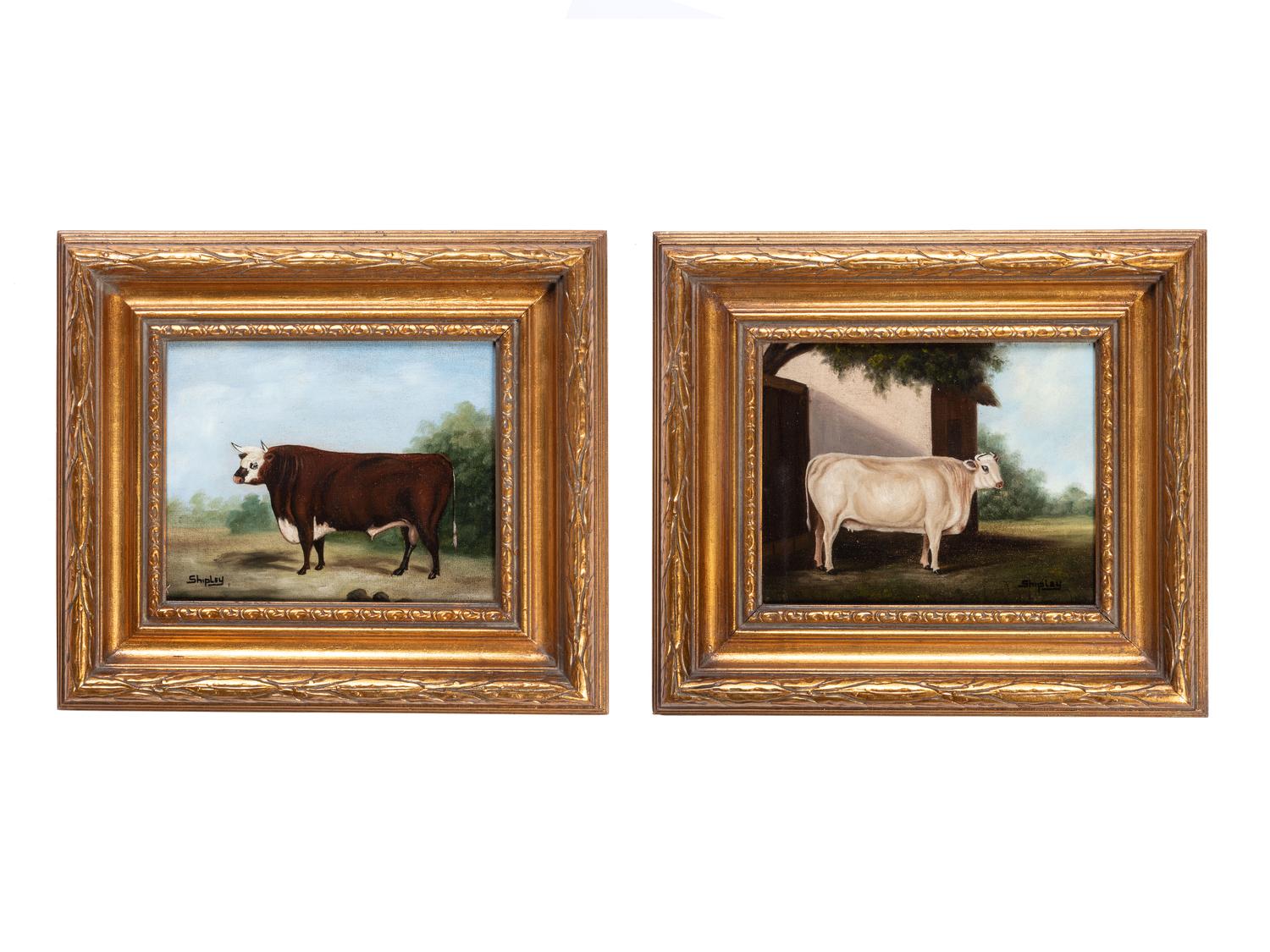 A Pair of Bovine Portraits