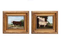 A Pair of Bovine Portraits