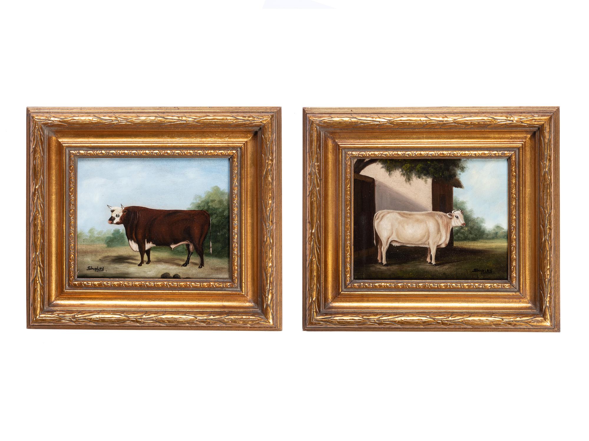A Pair of Bovine Portraits