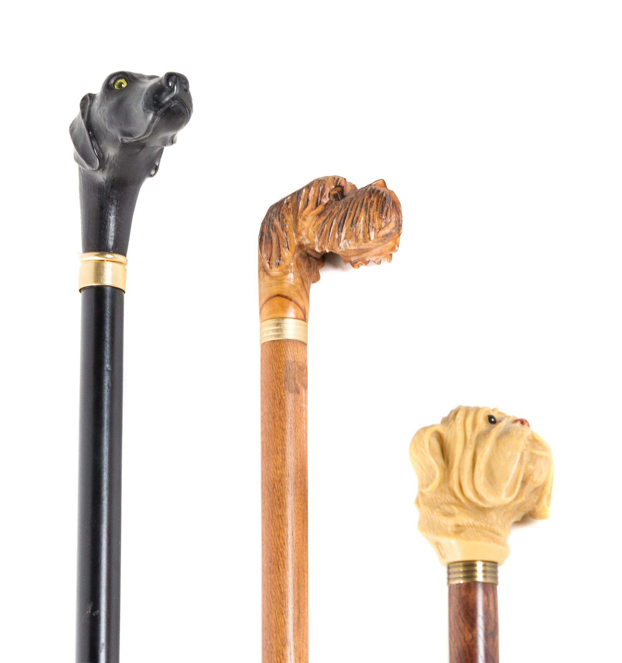 A Collection of Three Canes, Length of handle 3 x height of tallest 38 inches.
