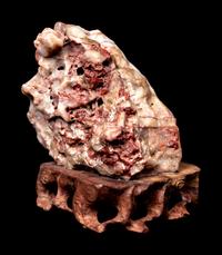 Four Chinese Scholar's Rocks