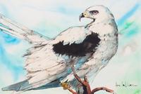 Don LaViere Turner, (Wisconsin, 1929-1997), Shrike